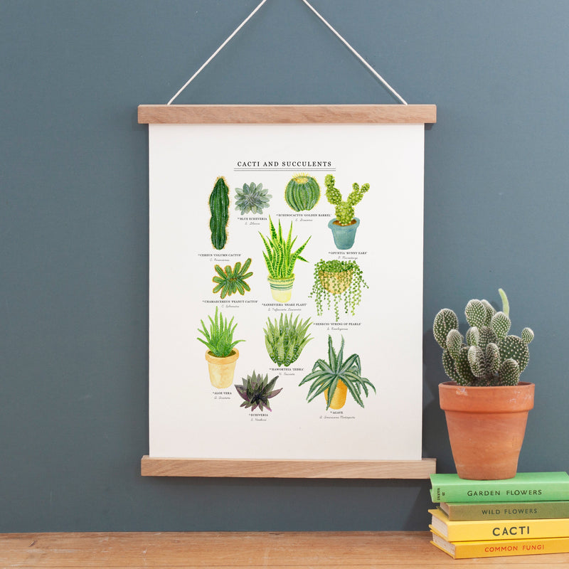 *SECOND* Super Seconds Festival - Cacti & Succulents Illustrated Giclée Print - 30x40cm