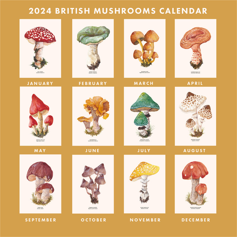 2024 British Mushrooms Month To A Page Calendar