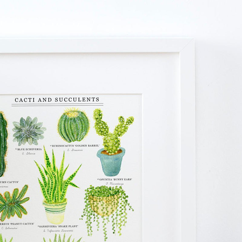 *SALE* Super Seconds Festival - Cacti & Succulents Illustrated Giclée Print - 30x40cm