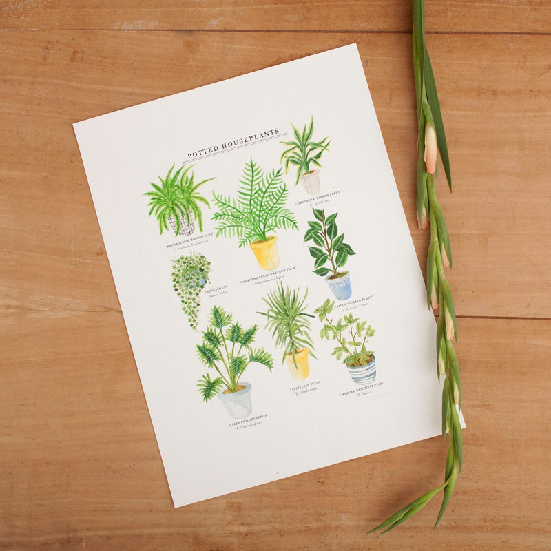*SALE* Super Seconds Festival - Potted House Plants Giclee Print - 30 x 40 cm