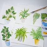 *SALE* Super Seconds Festival - Potted House Plants Giclee Print - 30 x 40 cm