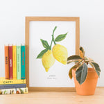 *SALE* Super Seconds Festival - Lemons Illustrated Digital Print - A4