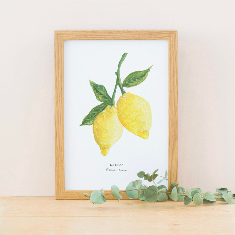 *SALE* Super Seconds Festival - Lemons Illustrated Digital Print - A4