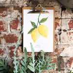 *SALE* Super Seconds Festival - Lemons Illustrated Digital Print - A4