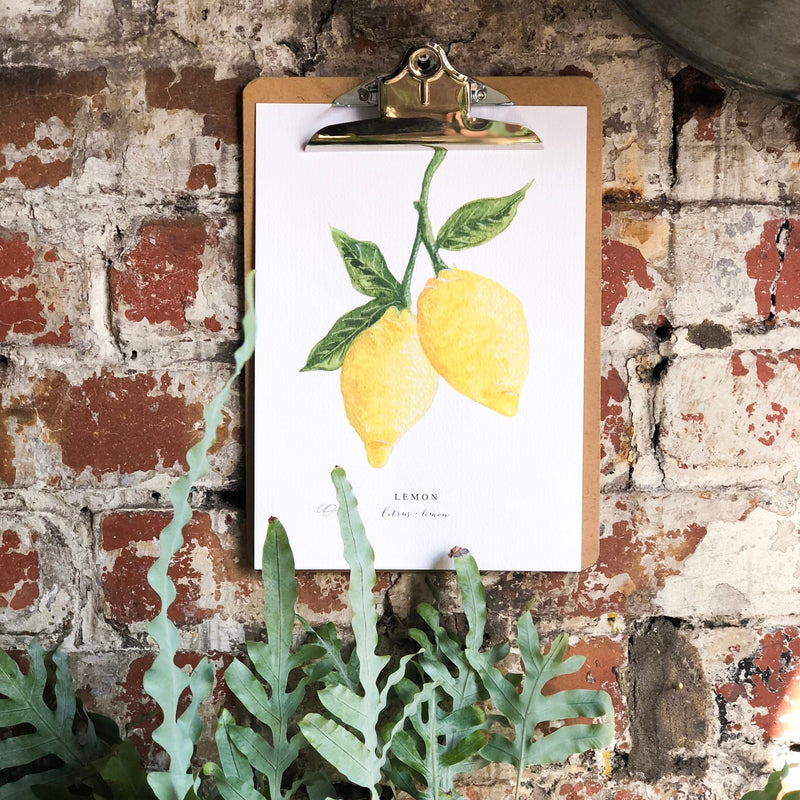 *SALE* Super Seconds Festival - Lemons Illustrated Digital Print - A4