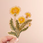 *SALE* Super Seconds Festival - Wildflower Vinyl Sticker Pack of 3