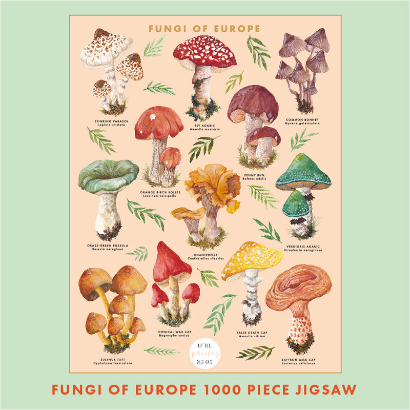 Fungi of Europe 1000 Piece Jigsaw Puzzle