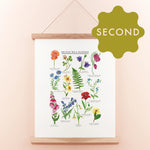 *SECOND* Super Seconds Festival - British Wild Flowers Giclée Print - 30x40cm