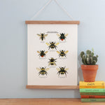 British Bees Giclee Print - 30x40cm