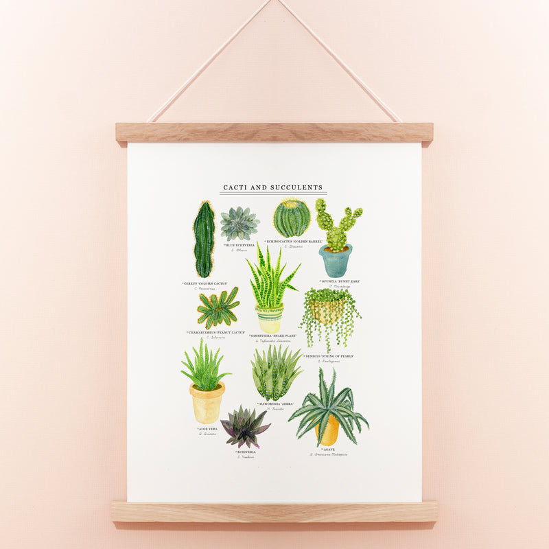 Cacti & Succulents Illustrated Giclée Print - 30x40cm