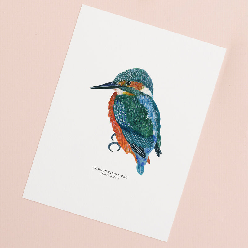 Kingfisher Illustrated Giclée Print - 18 x 24 cm