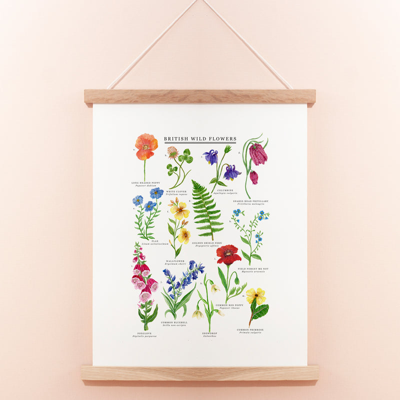 British Wild Flowers Giclée Print - 30x40cm