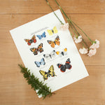 British Butterflies Giclée Print - 30 x 40 cm