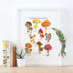Mushrooms & Toadstools Giclee Print - 30x40cm