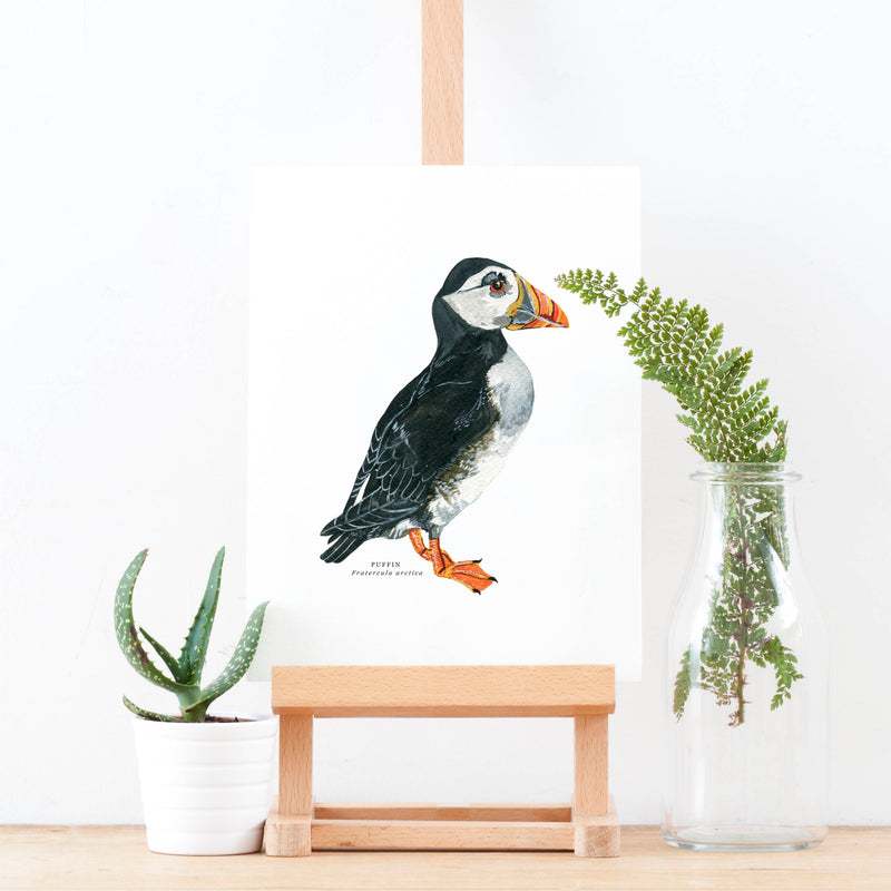 Puffin Illustrated Giclée Print - 18 x 24 cm