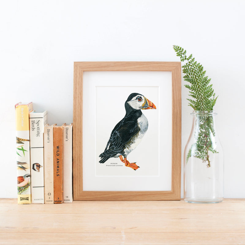 Puffin Illustrated Giclée Print - 18 x 24 cm