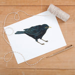 Blackbird Illustrated Giclée Print - 18 x 24 cm