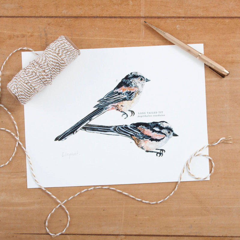 Long Tailed Tit Illustrated Giclée Print - 18 x 24 cm