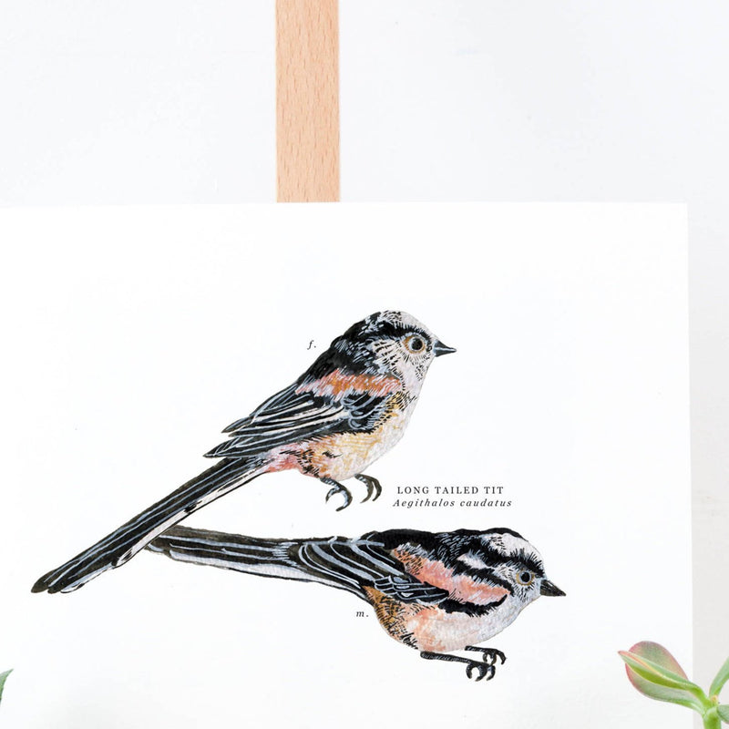 Long Tailed Tit Illustrated Giclée Print - 18 x 24 cm