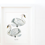 Swan Illustrated Giclée Print - 18 x 24 cm