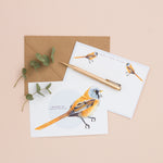 British Bird Notelet Set - Pack of 8