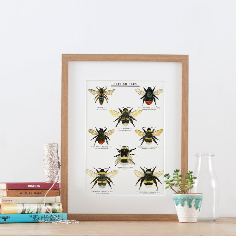 British Bees A6 Postcard