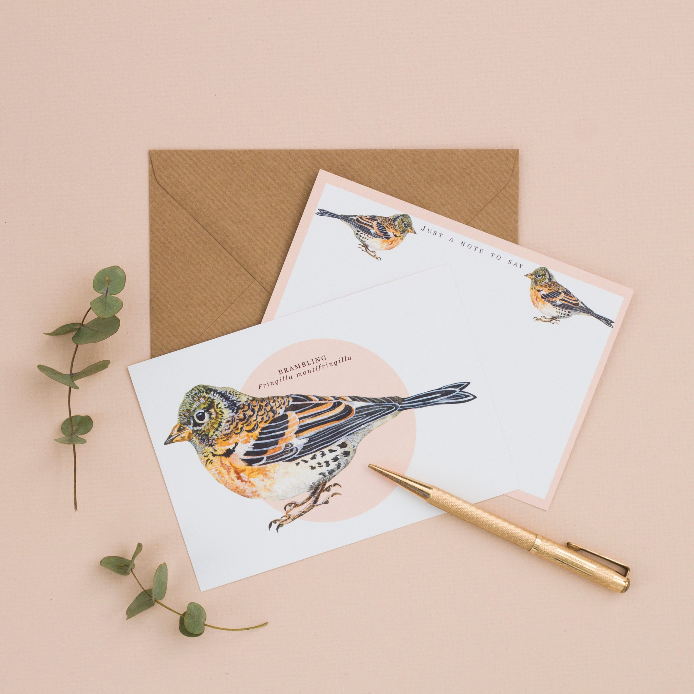 British Bird Notelet Set- Pack of 8 – Little Paisley Designs