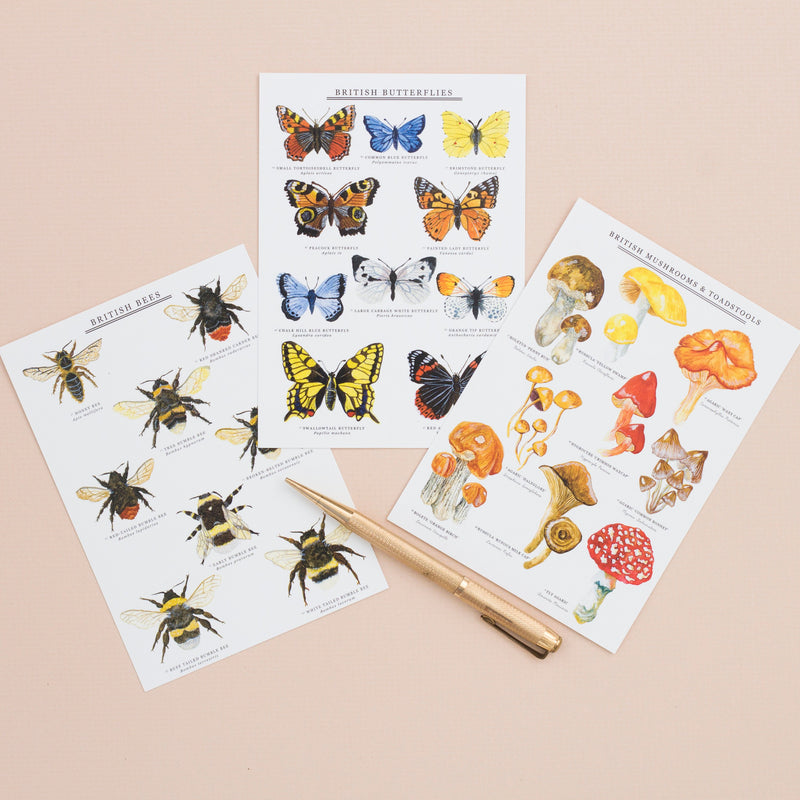British Butterflies A6 Postcard
