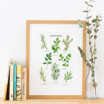 Garden Herbs Illustrated Giclée Print -30x40cm
