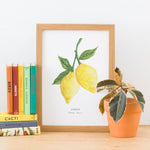 Lemons Illustrated Digital Print - A4