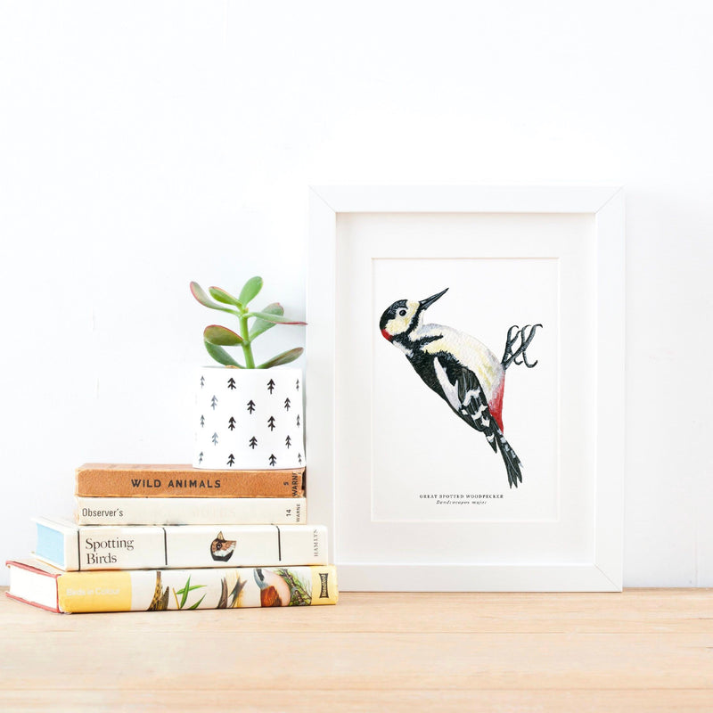Great Spotted Woodpecker Illustrated Giclée Print - 18 x 24 cm