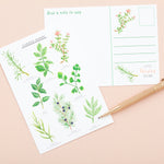 Garden Herbs Postcard - A6