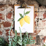 Lemons Illustrated Digital Print - A4