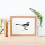 Pied Wagtail Bird Giclée Print - 18 x 24 cm