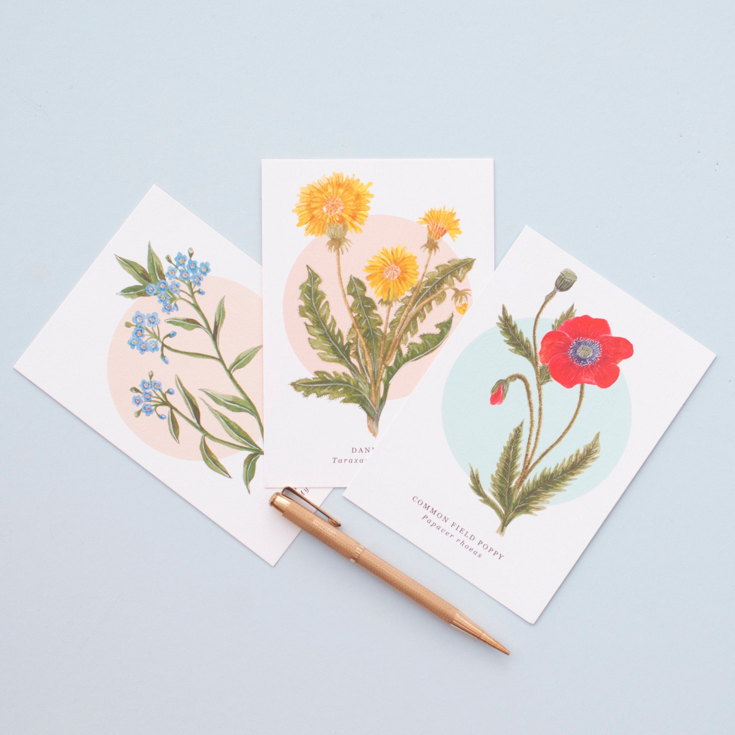Designs For Notelets British Wild Flower Notelets - Pack of 8 – Little Paisley Designs