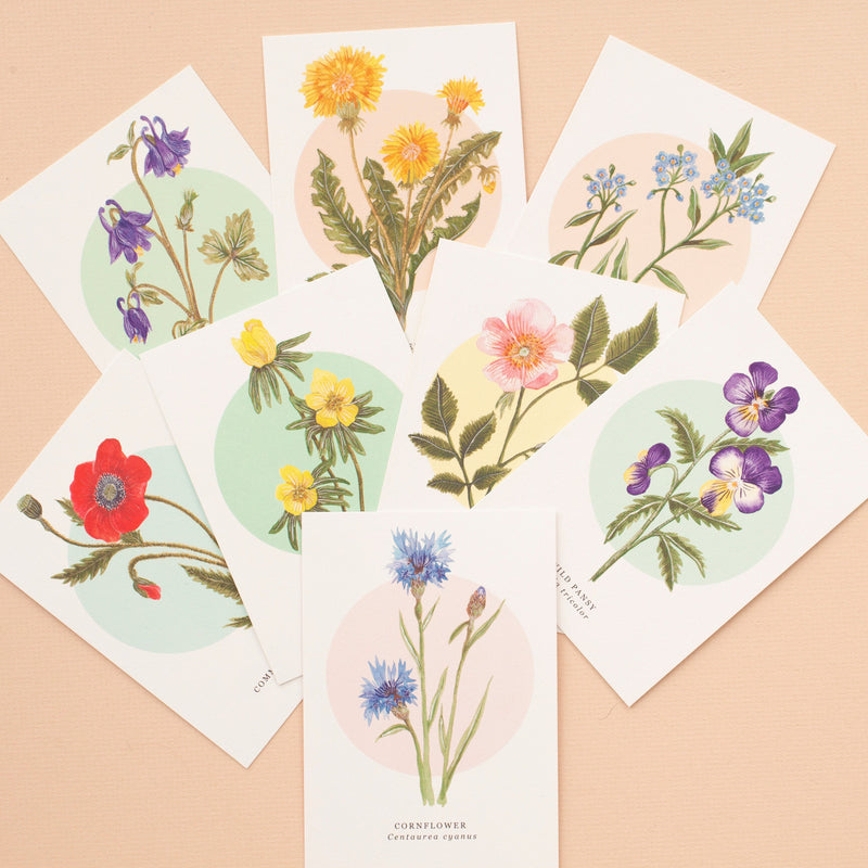Designs For Notelets British Wild Flower Notelets - Pack of 8 – Little Paisley Designs