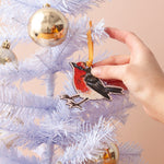 Robin Christmas Decoration Greeting Card