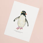 Rockhopper Penguin Illustrated Giclée Print - 18 x 24 cm