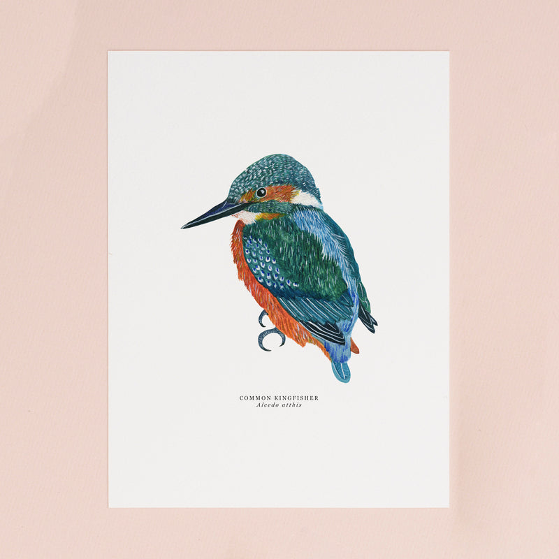 Kingfisher Illustrated Giclée Print - 18 x 24 cm