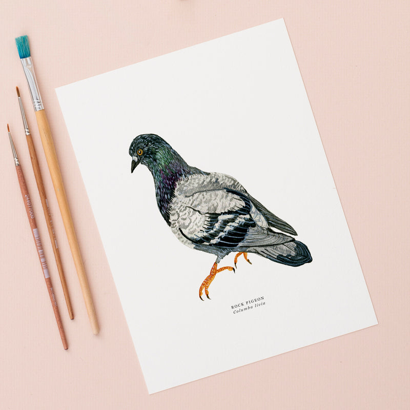 Pigeon Illustrated Giclée Print - 18 x 24 cm