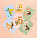 Baby Age Photo Prompt Cards Set